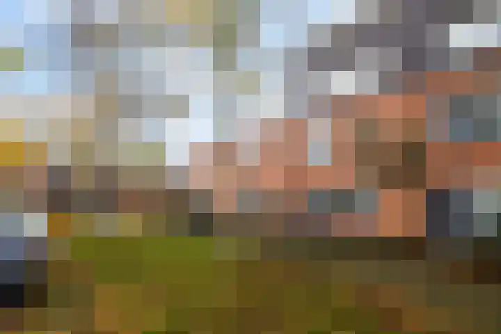 Dalkruid 34 Amersfoort thumbnail 43