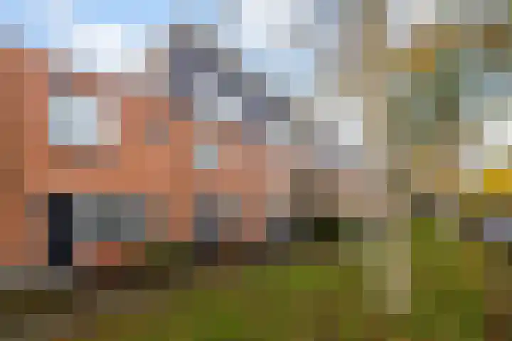 Dalkruid 34 Amersfoort thumbnail 44