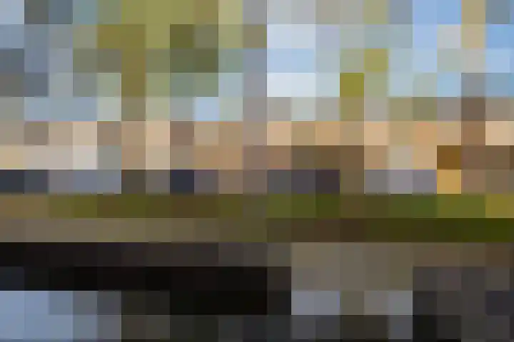 Dalkruid 34 Amersfoort thumbnail 45