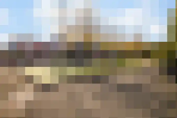Dalkruid 34 Amersfoort thumbnail 46
