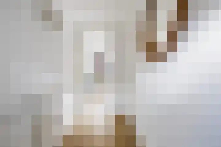 Dalkruid 34 Amersfoort thumbnail 5