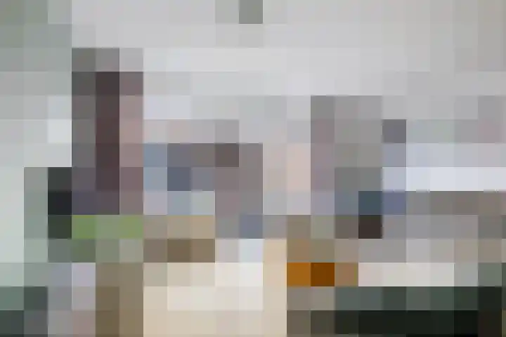 Dalkruid 34 Amersfoort thumbnail 8