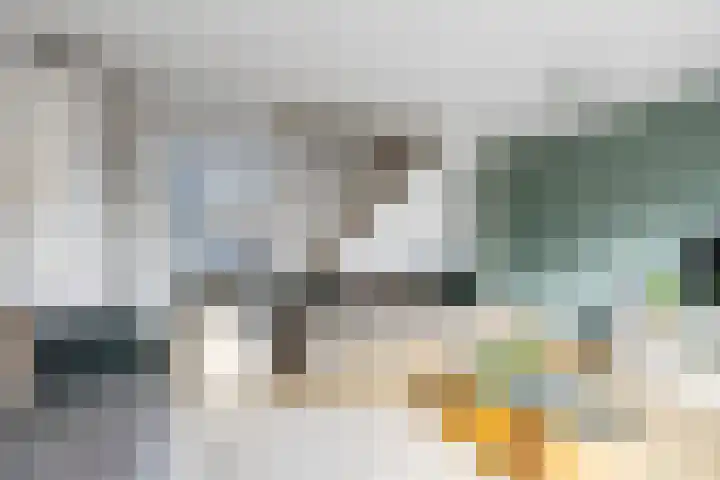 Dalkruid 34 Amersfoort thumbnail 9