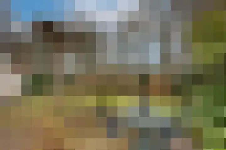 Dalkruid 40 Delden thumbnail 30