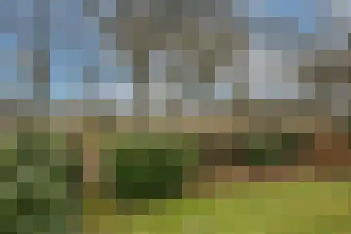 Dalkruid 40 Delden thumbnail 33