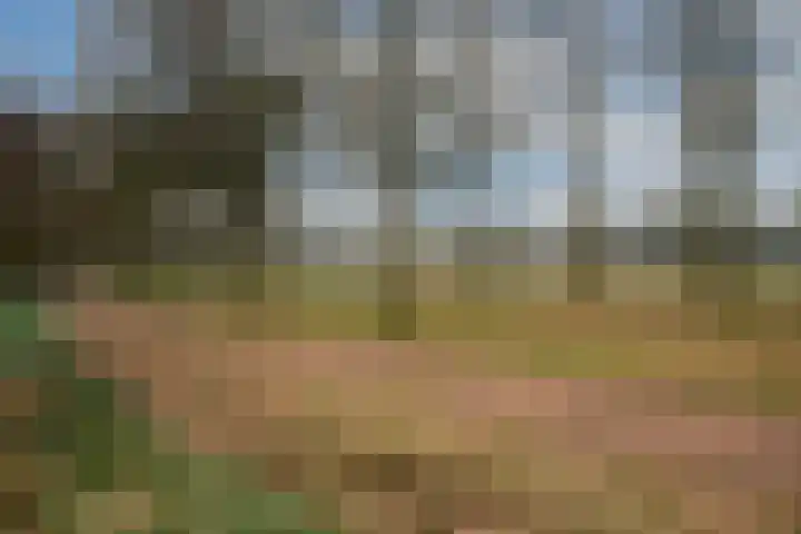 Dalkruid 40 Delden thumbnail 34
