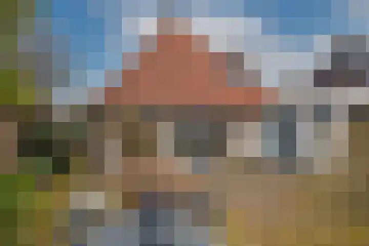 Dalkruid 40 Delden thumbnail 36