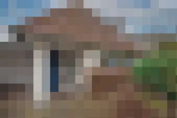 Dalkruid 40 Delden thumbnail 39