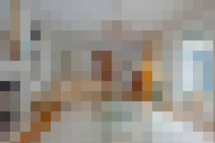 Dalkruid 40 Delden thumbnail 5
