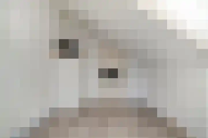 Dalkruid 8 Zeewolde thumbnail 34
