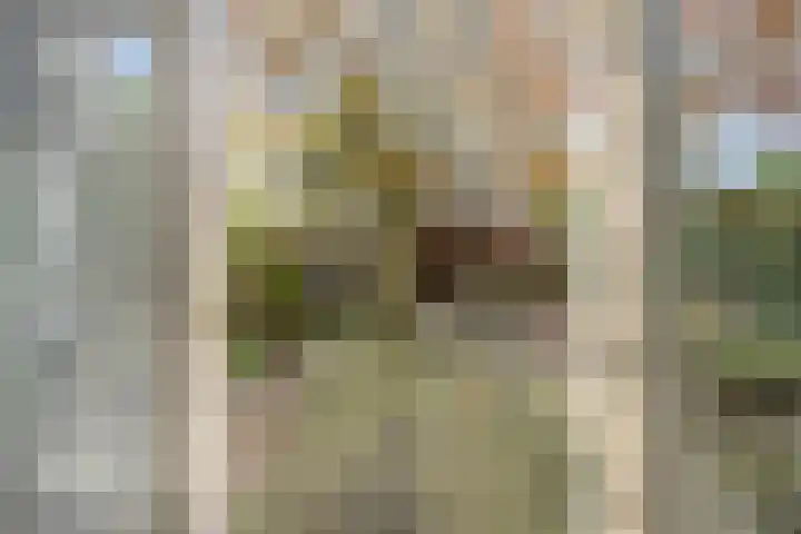 Dalkruid 8 Zeewolde thumbnail 35