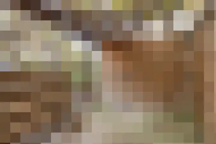 Dalkruid 8 Zeewolde thumbnail 41