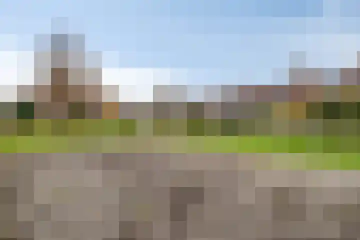 Dalkruid 8 Zeewolde thumbnail 43