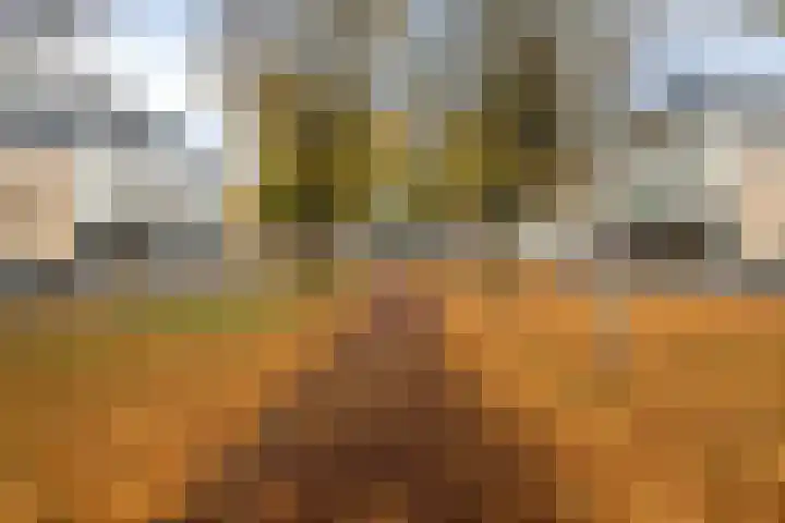 Dalkruid 8 Zeewolde thumbnail 46