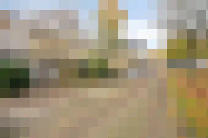 Dalkruid 8 Zeewolde thumbnail 5