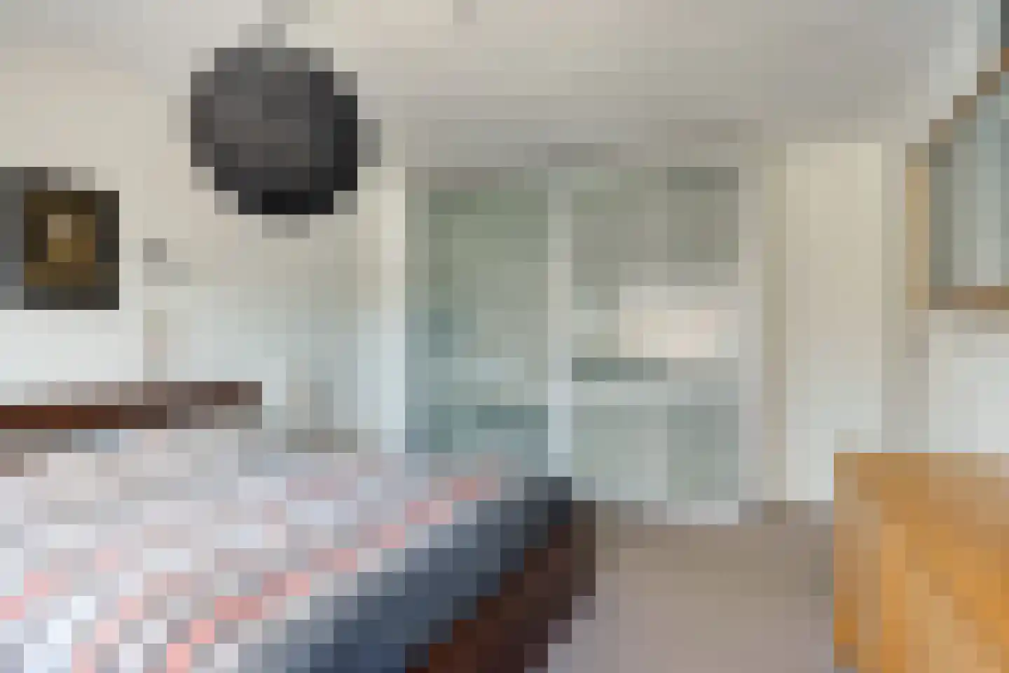 Dalkruiddreef 3 Nuenen thumbnail 26