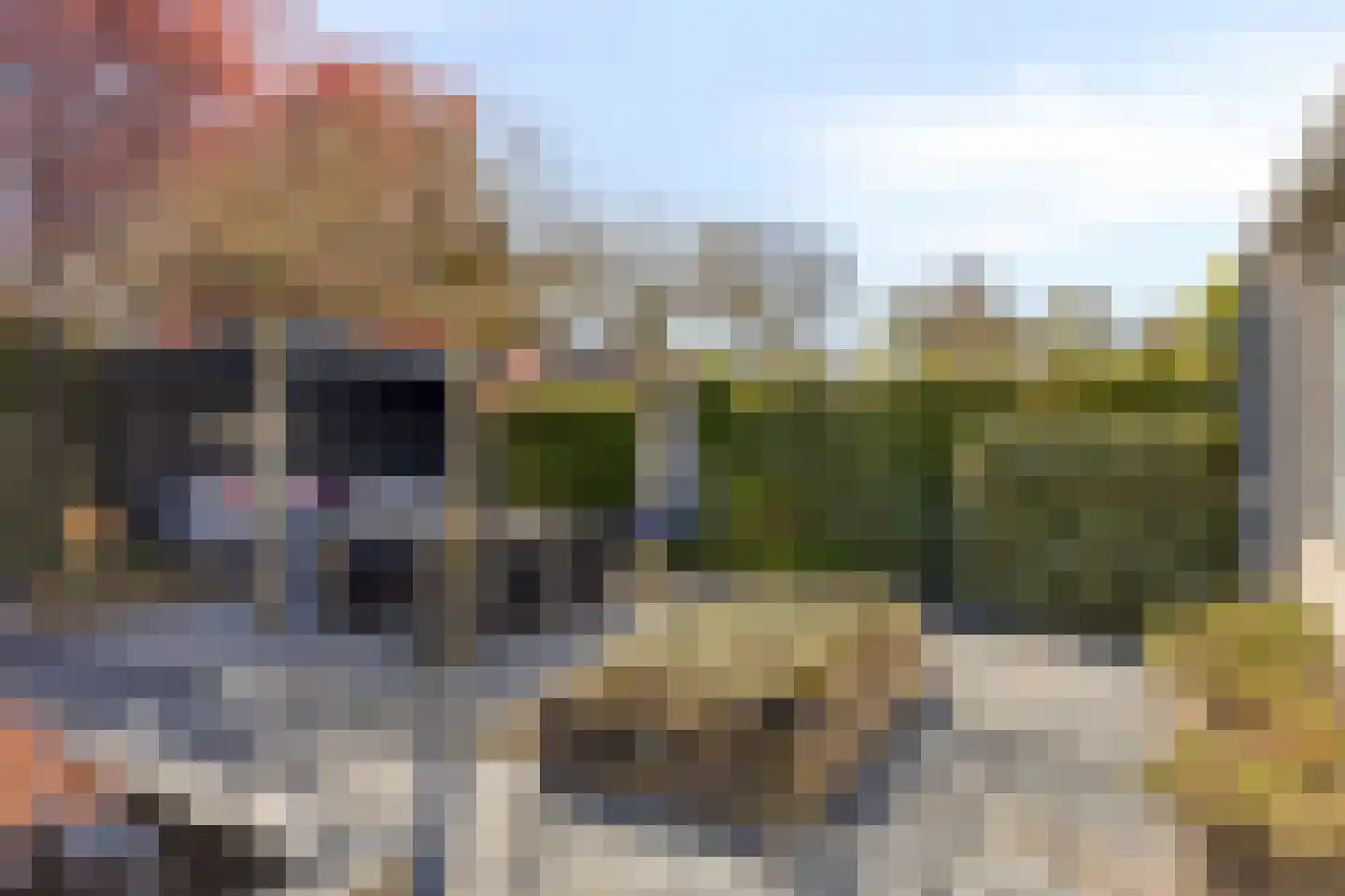 Dalkruiddreef 3 Nuenen thumbnail 39