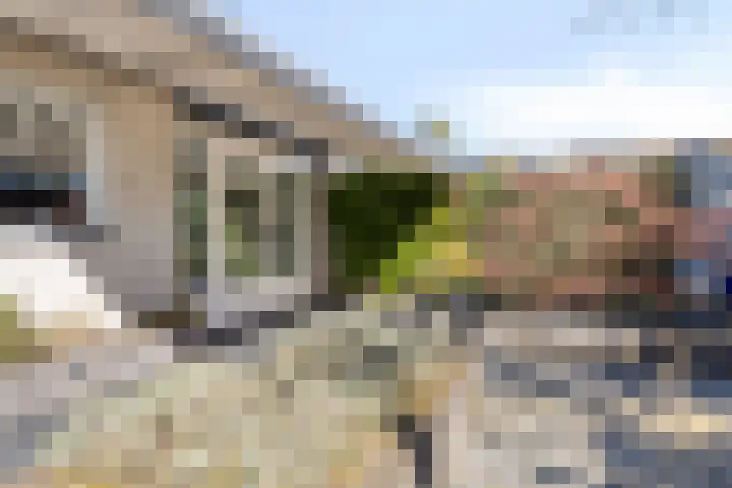 Dalkruiddreef 3 Nuenen thumbnail 46