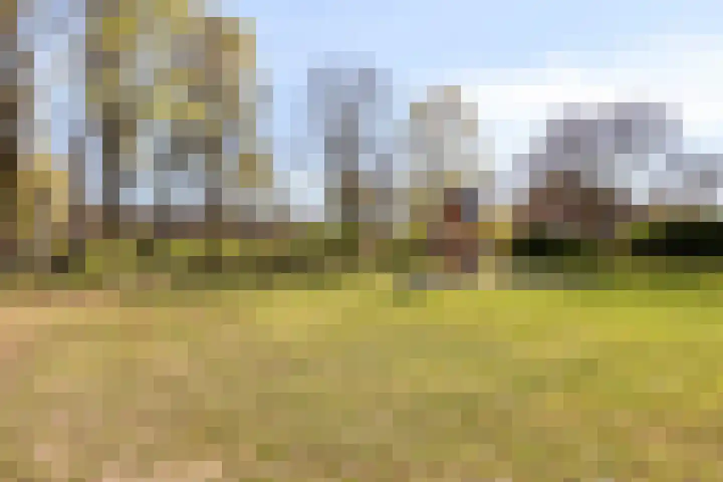 Dalkruiddreef 3 Nuenen thumbnail 50