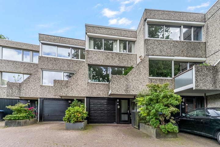 Dalmatië 78 in Leusden foto