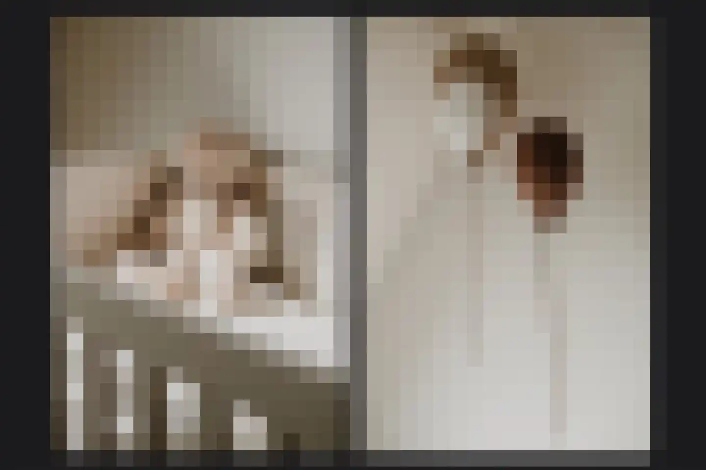 Dalwagenseweg 116 Opheusden thumbnail 24