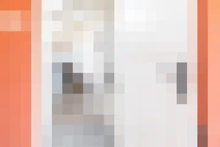 Dalwagenseweg 93 Opheusden thumbnail 32