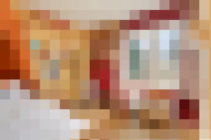 Dalweg 12 De Steeg thumbnail 13