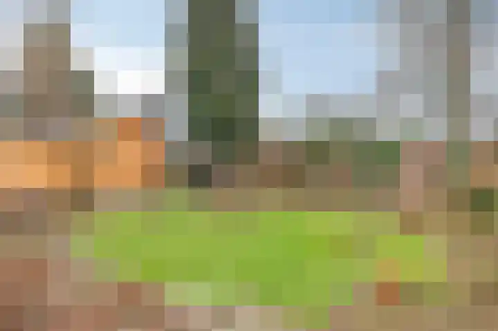Dalweg 12 De Steeg thumbnail 23