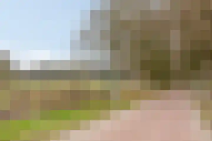 Dalweg 12 De Steeg thumbnail 28