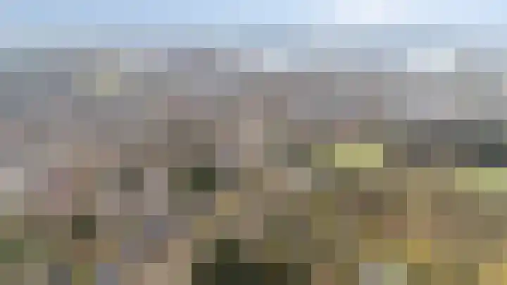 Dalweg 12 De Steeg thumbnail 30