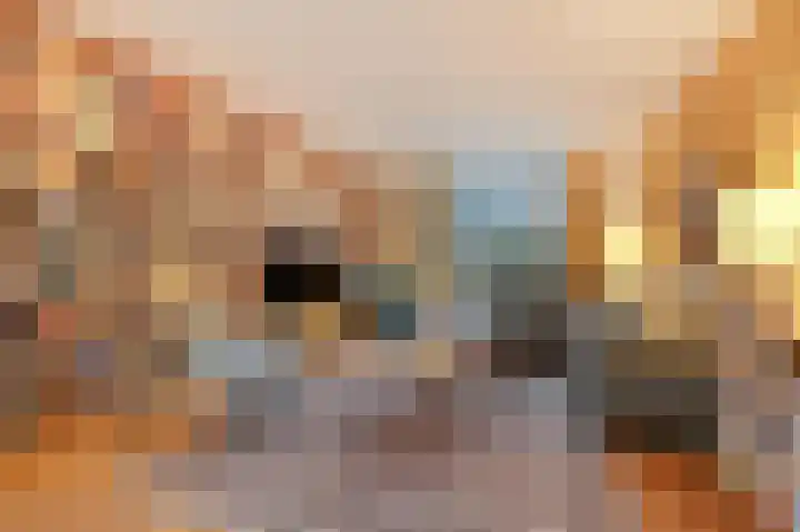 Dalweg 12 De Steeg thumbnail 8