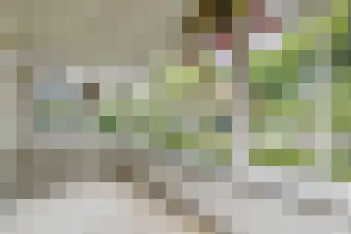 Dalweg 26 Hilversum thumbnail 10