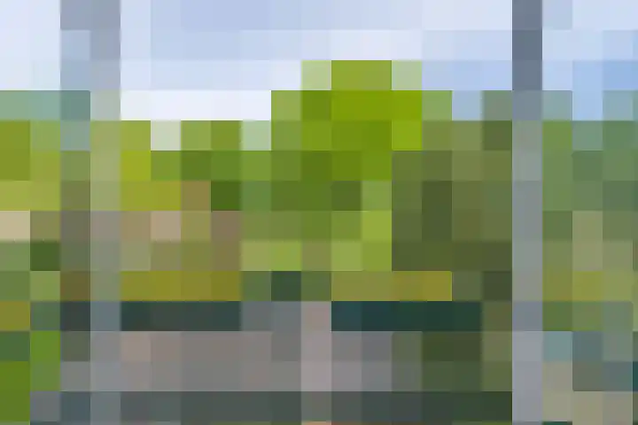 Dalweg 26 Hilversum thumbnail 20