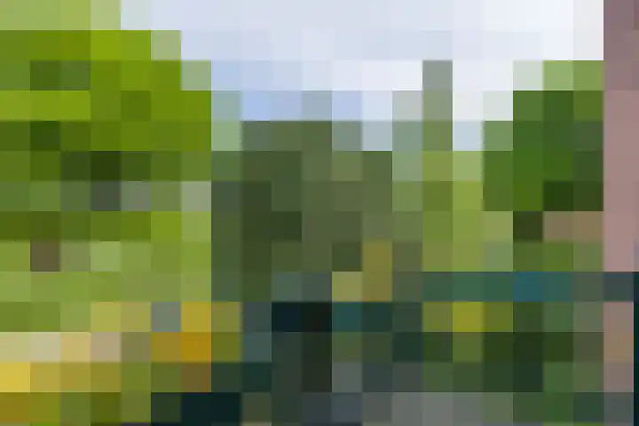 Dalweg 26 Hilversum thumbnail 21