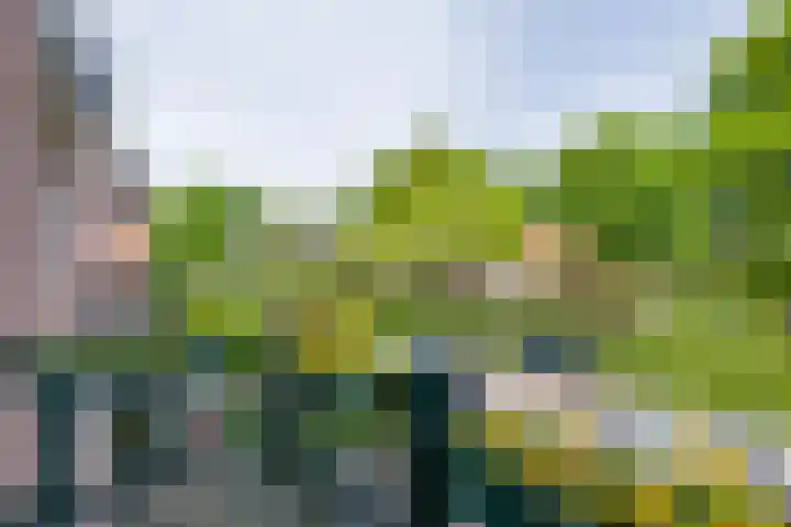 Dalweg 26 Hilversum thumbnail 22