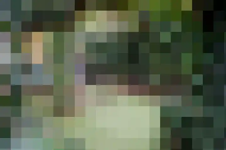 Dalweg 29 Arnhem thumbnail 59