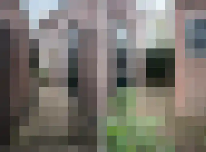 Dalweg 29 Arnhem thumbnail 66