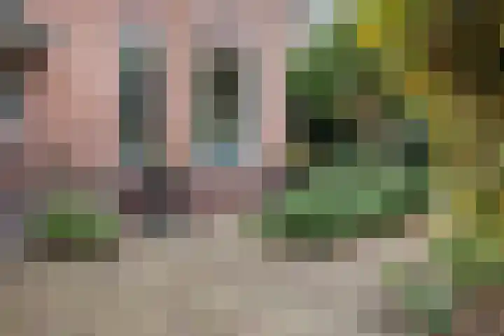Dalweg 29 Arnhem thumbnail 69