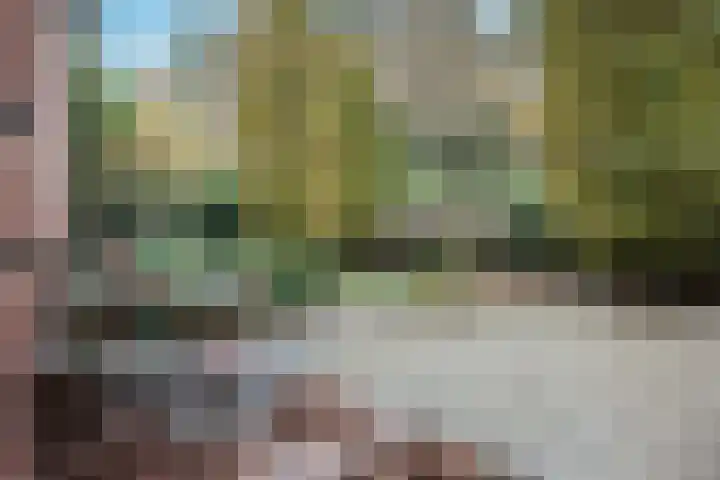 Dalweg 29 Arnhem thumbnail 70