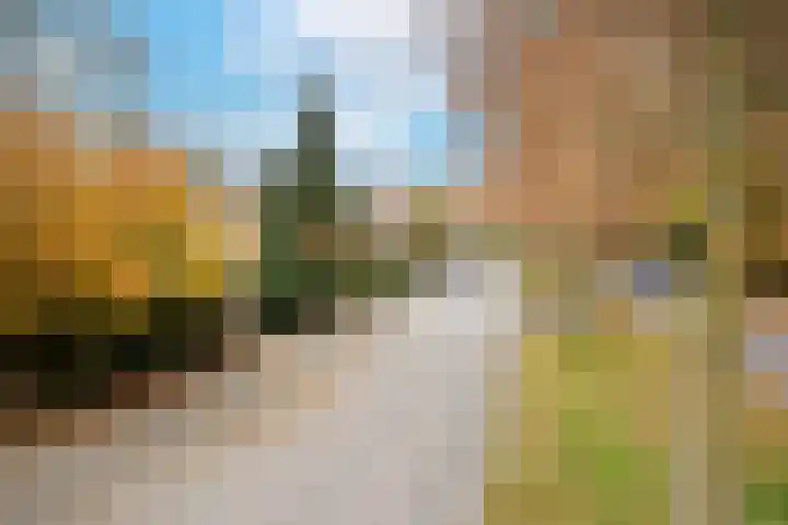 Dalweg 29 Arnhem thumbnail 73