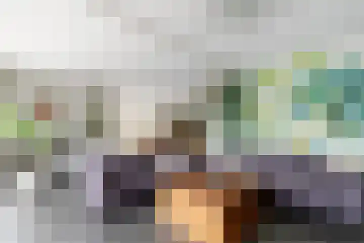 Dam 1 a Strijen thumbnail 11