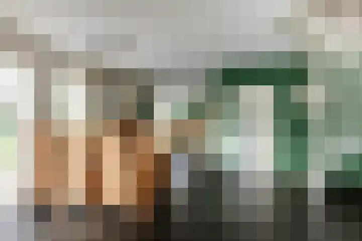 Dam 1 a Strijen thumbnail 13