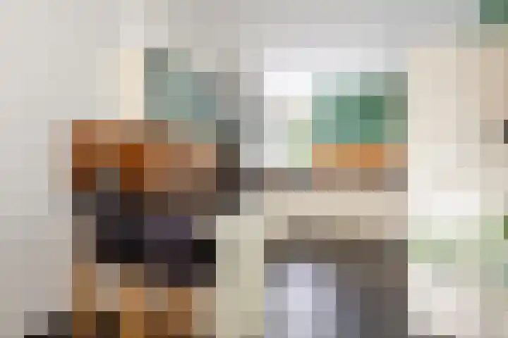 Dam 1 a Strijen thumbnail 14