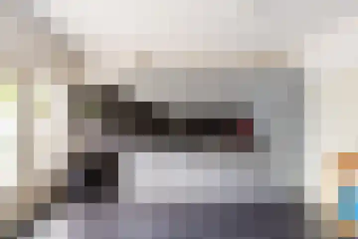 Dam 1 a Strijen thumbnail 16