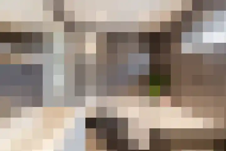 Dam 1 a Strijen thumbnail 20