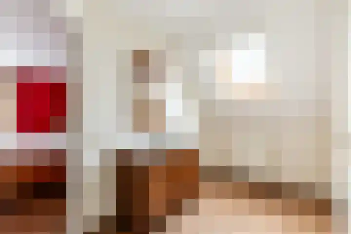 Dam 1 a Strijen thumbnail 21