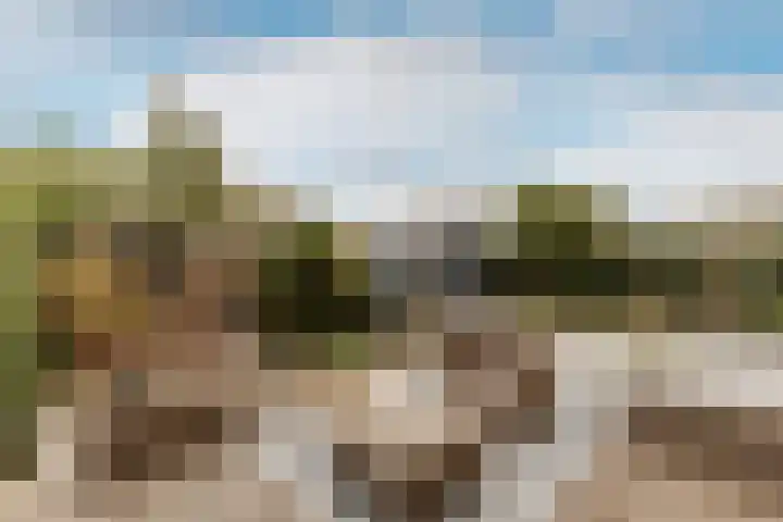 Dam 1 a Strijen foto 3