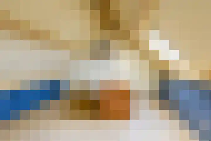Dam 1 a Strijen thumbnail 30