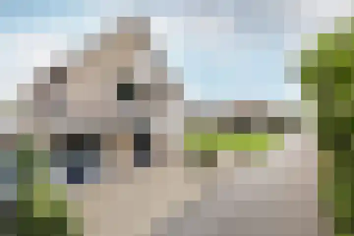 Dam 1 a Strijen thumbnail 32