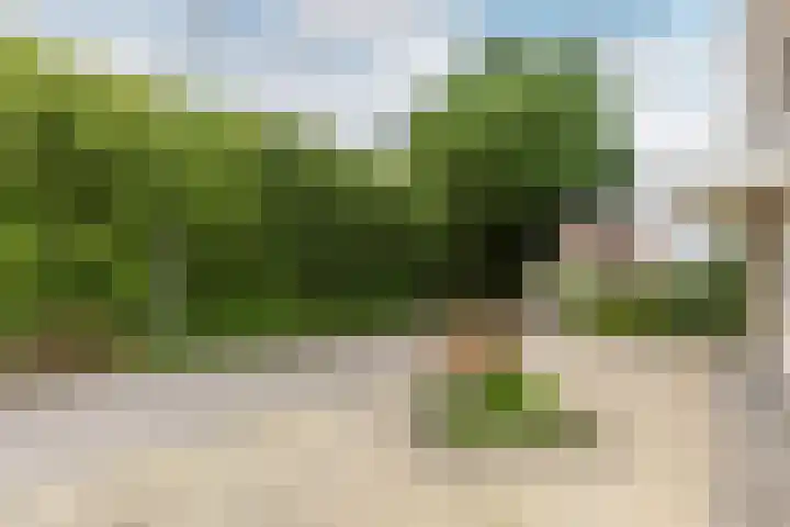 Dam 1 a Strijen thumbnail 33